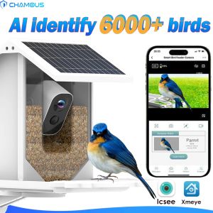 Contrôle de la caméra vidéo d'oiseau avec panneau solaire Wifi Battery Wireless Wireless Outdoor Cam Bidgers House Ai Smart Identify Bird Spécifie