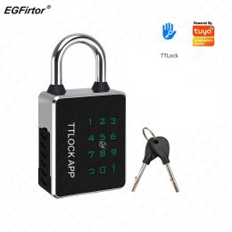 Control Egfirtor Ttlock Landlock Tuya App IC Tarjeta RFID Clave NFC Desbloqueo Way Ip65 Bluetooth Smart Electronic Door Lock
