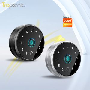 Besturing Elektronische digitale Tuya -app Blue Tooth Smart Deadbolt Keyless Entry Deur Slot met toetsenborden op afstand bediening voor Home Voordeur