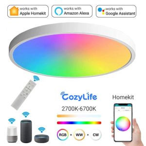 Controle HomeKit CosyLife WiFi-plafondlamp Modern Scandinavisch rond licht Slim dimbare binnenverlichting Werk met Alexa Google SmartThings