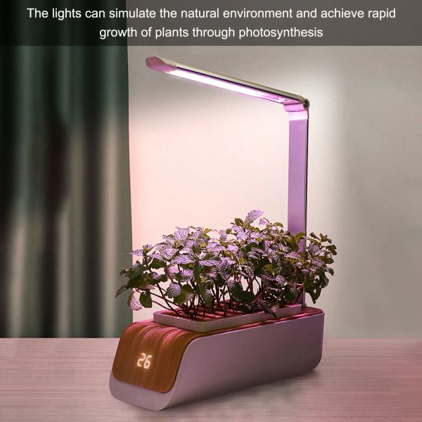 Contrôle Hydroponics Growing System Family Farm Nursery Tray Pot Indoor Herb LED Grow Light Timer Automatic Smart Garden Planter
