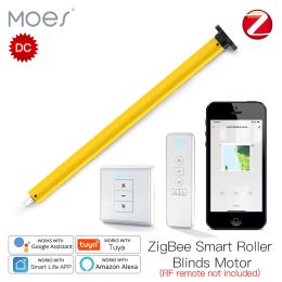 Controle Moes ZigBee 25 mm Automatische Smart Tubular Roller Roller Words Motor DC RF433 Remote 38mm Tube Smart Lifetuya via Alexa Google Home