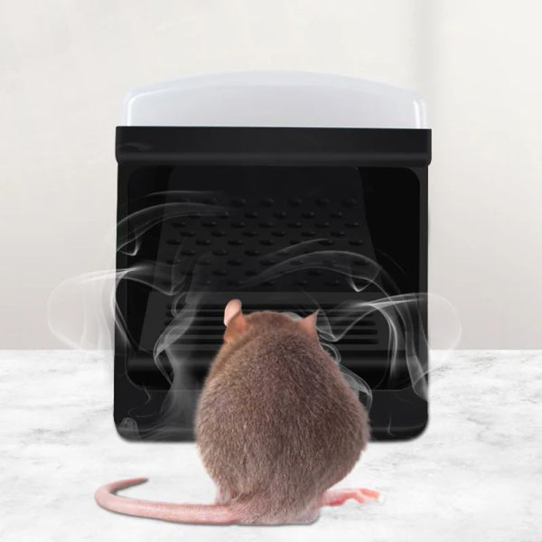 Contrôle réutilisable Small Smart Mousetrap MICE PIEGE RAT RAT TIET RODENT Catcher Mousetrap Live Mouse Trap Humane Clear No Kill Pest Control