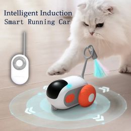 Control Smart Cat Toy Control remoto Carriendo Cat Toys Interactive Cat Sticks Teaser Feather Modes Dual Pet Toys