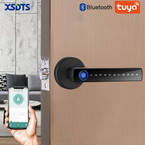 Contrôle la poignée de verrouillage de porte d'empreintes digitales intelligente pour appartement à domicile avec carte clés verrouillage de porte numérique Keypad Entrée sans clé Lock électronique