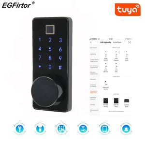 Contrôler Smart Lock Entrée sans clé Bluetooth Reader du lecteur tactile Clavier Mot de passe de mot de passe via Gateway Compatible Alexa Google