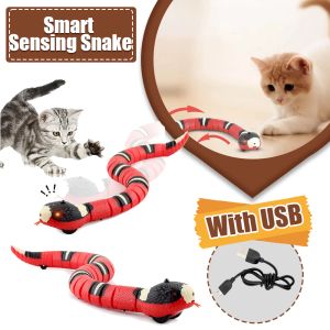 Contrôle de la détection intelligente Snake Interactive Cat Toys Remote contrôle