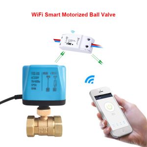 Contrôle Tuya WiFi Smart Motoralize Ball Vae Timing Water Smart Switch Electric Vae with Smart Life Alexa Alice Google Home AC220V