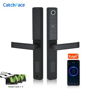 Contrôle imperméable WiFi WiFi WiFi Digital Push Pull Empreinte Smart Door Lock pour le glissement en verre ou la porte de la maison en bois