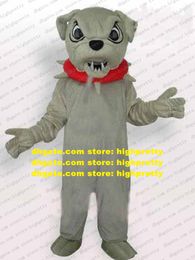 Costume de Mascotte de bouledogue, chien taureau gris Cool, chiot Pitbull avec dents pointues, collier épineux rouge pour adulte, No.743