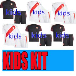 Copa Americ Peru hot jerseys Voetbalshirts LAPADULA LUIS LBERICO PINEAU CUEVAS CARTAGENA TAPIA VALERA AQUINO nationaal team 24 25 voetbalshirt kinderkits sokken