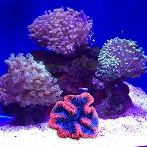 Coral Aquarium Kunstmatige Koraal Plant Hars Zee Plant Ornament Simulatie Niet Giftig Zoetwater Zoutwater Aquarium Decor 231201