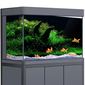 Corail Aquarium Fond Fish Tank Plante Aquatique Paysage HD Reptile Habitat Décorations PVC Affiche Autocollant Impression 231201