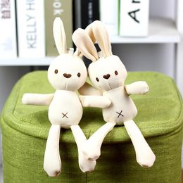 Cabina de maíz peluche juguete muñeca muñeca de maíz pequeña ropa de conejo accesorios de bolsas colgantes de conejo conejito