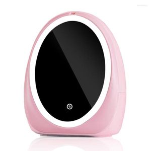 Sacs à cosmétiques 2023 lumière LED boîte de rangement avec miroir USB grande capacité femme bijoux bureau commode pour les femmes