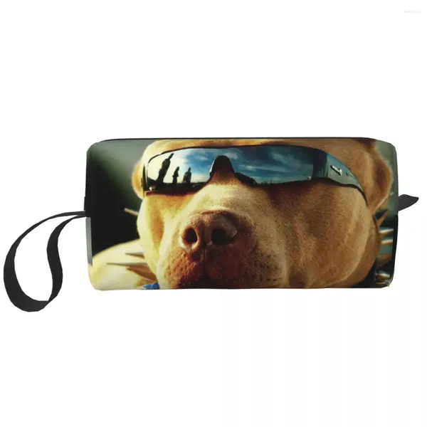 Sacs à cosmétiques Pitbull avec lunettes de soleil, étui de maquillage Portable pour voyage Camping activité extérieure, trousse de toilette à bijoux