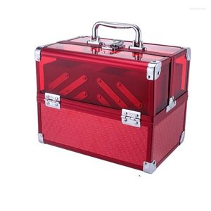 Cosmetische tassen vrouwen make -up reiskoffer Make -uppas Suitase Organizer Box Hard opslag aluminium
