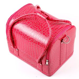 Cosmetische case make-up train case 1 stks / partij 5 kleuren tassen vrouwen roze draagtas make-up organizer multifunctioneel