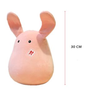 cosplay Eraspooky Anime Toilet Bound Jibaku Shounen Hanako-kun Cosplay Accessoire Mokke Pluche Schattig Nene Yashiro Vis Pop Kussen Toycosplay