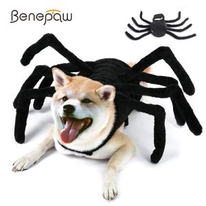 Kostuums Benepaw Dog Cat Halloween Costuums Party Spider Pet Cosplay Kleding Kleed Kleding Accessoires voor middelgrote kleine honden Cat Puppy