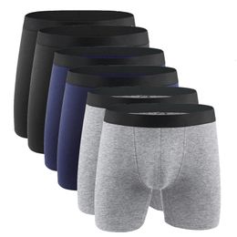 Coton hommes culottes sous-vêtements Boxer Shorts longue jambe confort hommes caleçons homme Hombre Boxer Marca taille européenne Plus S-XXL 240125