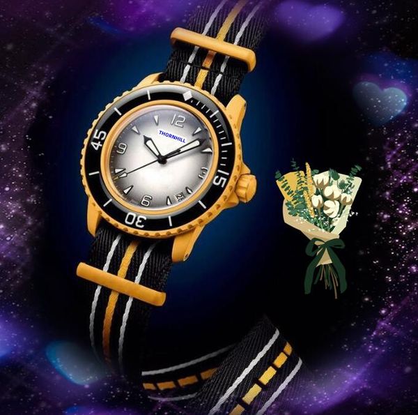 Couple Femmes Hommes Amoureux Montres Bracelet En Nylon Qurtz Batterie et Mouvement Mécanique Automatique Horloge Saphir 5ATM Montre étanche orologio di lusso Cadeaux