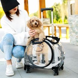 Couvre le siège d'auto pour chiens couvre les bagages de valise de chat de chat pour animaux de compagnie avec des roues transportant une poussette transparente de transporteur respirant