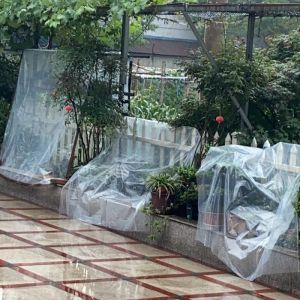 Couvertures transparentes en plastique PE Film imperméable à la pluie bâche en tissu fleur de jardin garder au chaud balcon serre plantes succulentes couverture