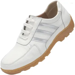 Capa de la piel de vaca Cabeza informal 240 zapatos para hombres Tendón de cuero Tendro inferior Spring and Autumn Business Beige Men 67 523 96123 68491