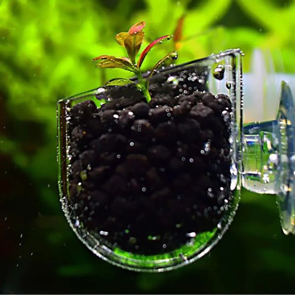 Creative aquarium fish tank verre plante tasse ver rouge alimentation conteneur support plante tasse pot graine boue utilisée pour aquarium paysage décoration 240118