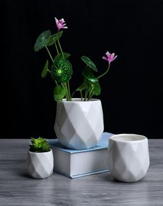 Créative Ceramic White Geometric Flowerpot Simple Succulent Plant Plante Planteurs verts Small Bonsai Pots Home Decoration7108495