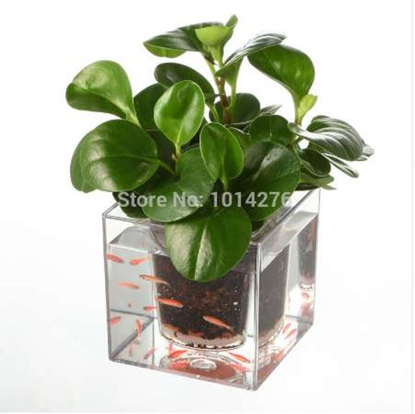 Creative Clear Tube Plante Pot/Pot De Fleur Décoratif Auto-Arrosage Planteur Fish Tank pour Bureau À Domicile Bureau Livraison Gratuite