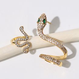 Orecchini a forma di serpente di cristallo creativo Orecchini a forma di orecchio di animale tridimensionale femminile Orecchini in oro Set di diamanti completi Accessori per gioielli da donna