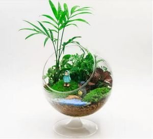 Vase en verre de plante hydroponique Globe créatif, décoration en verre de paysage Micro Eco Vase Home Set Ornement