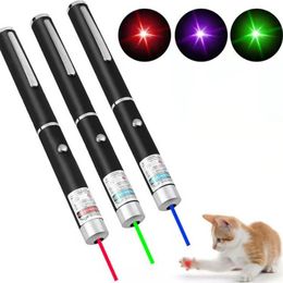 Creatief Party Gift 5MW Laser Pointer Instructie Pet Interactive Toys Outdoor Camping Teaching Session Sessions LK301