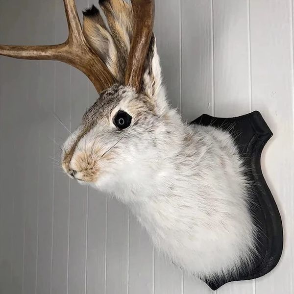 Résine créative Artisan Animal Devil Rabbit Taxidermy Ornements Home Deer Head Animal Mur Mur Hanging Villa Wall Decor 240522