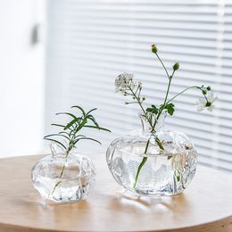 Creative Simple Small Granaatappelglas Vase Desktop Hydroponic Mooie hydrocultuur Bloem ornament Home Decor Vaas transparant