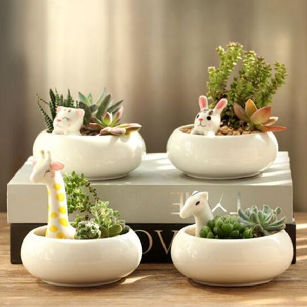 Maceta de flores suculentas creativa para animales pequeños, maceta de flores suculentas de cerámica para interiores con personalidad simple