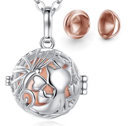 Crematie sieraden droomvanger hanger kan open souvenir sieraden as urn dame ketting