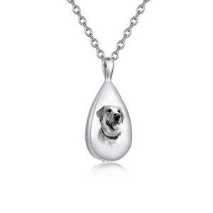 Crematie Memorial Water Drop Ashes Keep urns hanger ketting voor urn kettingen sieraden geschenken tribute to geliefde huisdieren