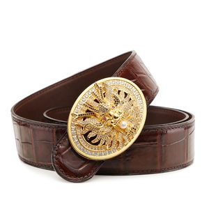 Ceinture pour hommes en cuir de crocodile, designer senior, marque luxueuse avec incrustation de diamants, ceinture authentique, boucle lisse, robinet, ceinture en cuir véritable tendance