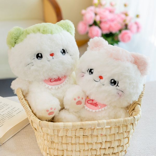 Jouets en peluche de chat à grand visage mignon transfrontalier, poupées de grande taille, poupées de jeunes mariés, cadeaux d'anniversaire pour copines, vente en gros 35cm