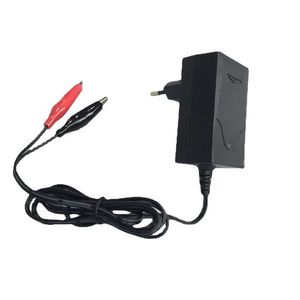 Chargeur de batterie au plomb 12V 1A dédié transfrontalier 13.8V 1000mA SLA AGM GEL combinaison