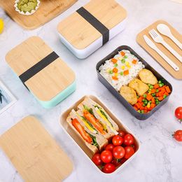 Grensoverschrijdende Japanse lunchbox met één laag lunchbox