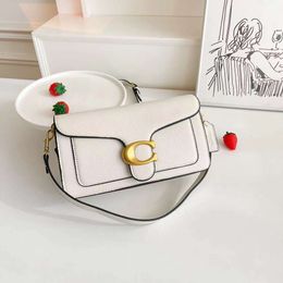 Crossbodybody Handheld New Fashionable and Minminalism Sac Femme Internet Red Colored Volydold High Grade Single épaule Crossbody Instagram Wholesale