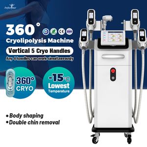 Cryo Cryolipolysis Fat Freeze Machine Cellulite Removal Body Dimagrante Doppio mento Trattamento Vacuum Weight Loss System Macchina dimagrante