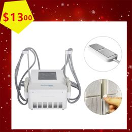 Cryo EMS Fat Freezing Beauty Machine Lipolaser 4 Paddle Cryotherapy Frozen Treats Liposlim Portable Beauty Device Professional Cost Leverancier Factory