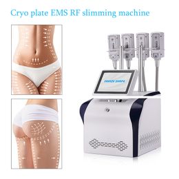 Cryo EMS verlies gewicht Machine Vet vriespuntafslibbare cellulitisreductie Niet-vaccum plaatcryolipolyseapparatuur