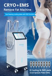 Cryo+ EMS Nieuw bijgewerkte cryo Slimage cryo Toning Cryoskin Ems Body Slimming Face Lifting Cellulitis Removal Machine