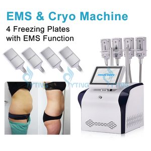 Cuerpo de terapia criogénica que adelgaza la máquina de placa de criolipólisis EMS de forma libre con 4 manijas
